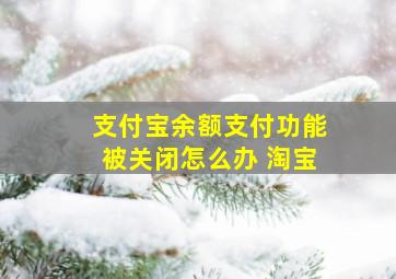 支付宝余额支付功能被关闭怎么办 淘宝